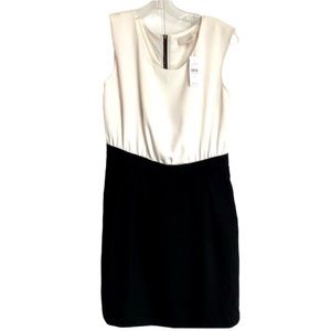 Dressy black and white dress with back zipper